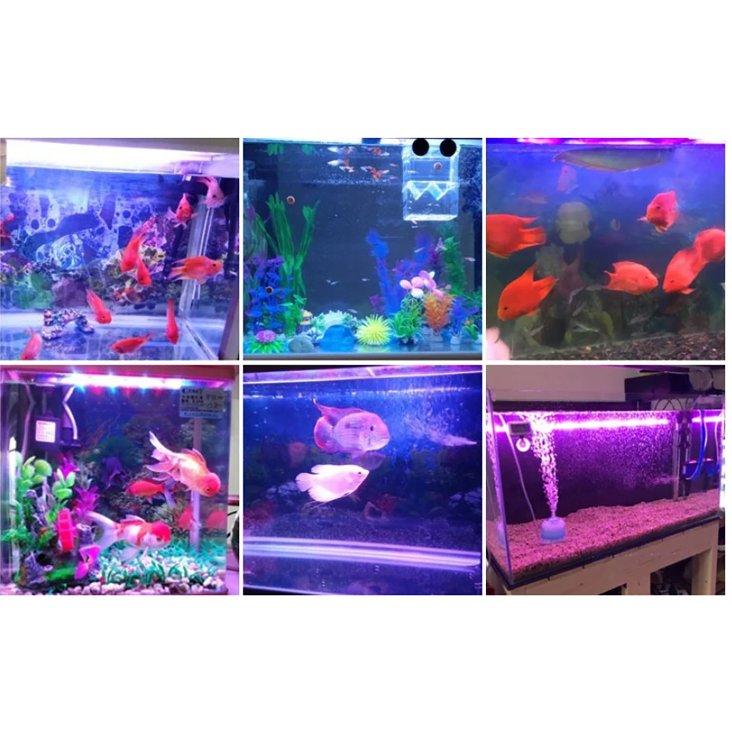 Aquarium Blue Marine - Iluminación LED para Acuarios Marinos de