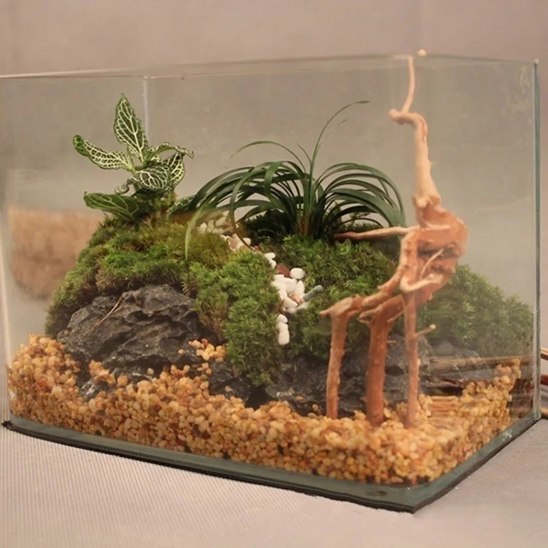 Tronco de árbol Natural de mad - Marine Aquarium Aquascape reseña y precio