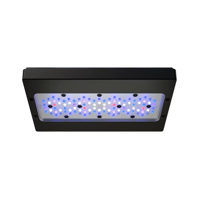 A8 Pro Azul 215W AC 110-240V W - Aquarium Blue Marine reseña y precio