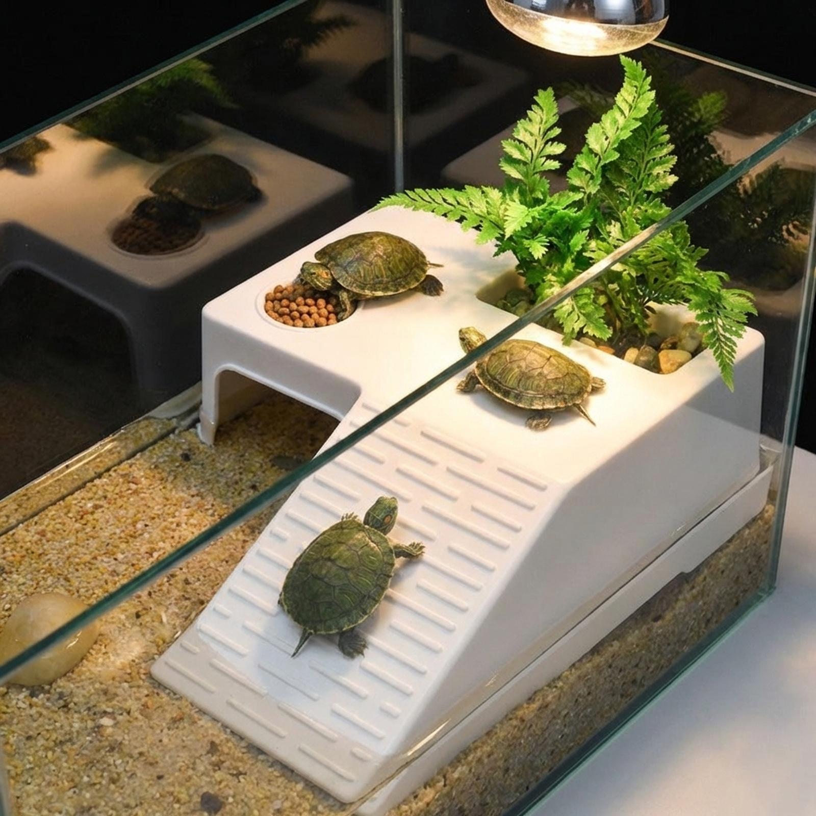 Plataforma de Descanso para To - Marine Aquarium Aquascape reseña y precio