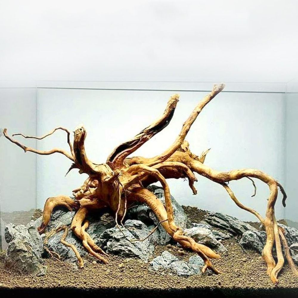 Decoración de tronco de árbol  - Marine Aquarium Aquascape reseña y precio