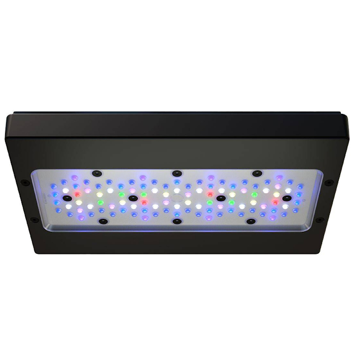 Lámpara LED para Acuario Marin - Aquarium Blue Marine reseña y precio