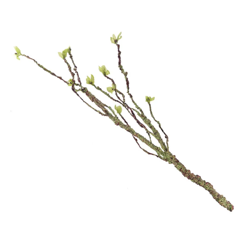Decoración de enredaderas, ram - Marine Aquarium Aquascape reseña y precio